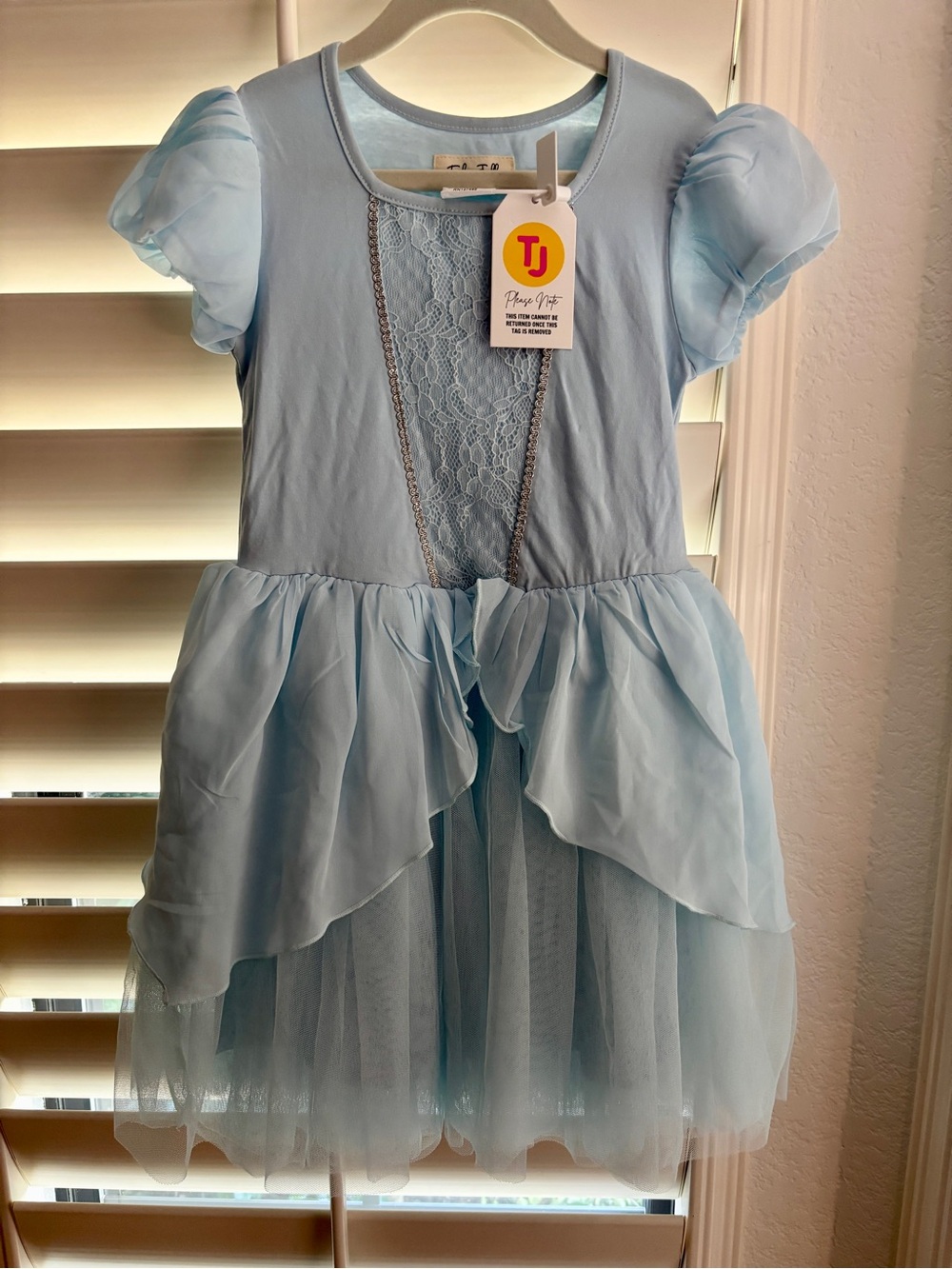 NEW Taylor Joelle Cinderella dress